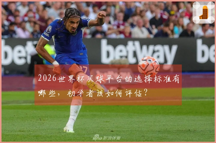 2026世界杯买球平台的选择标准有哪些，初学者该如何评估？