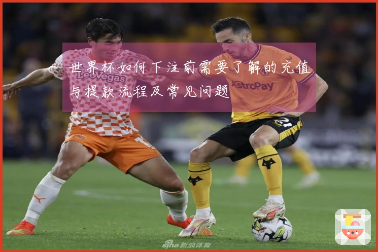 世界杯如何下注前需要了解的充值与提款流程及常见问题
