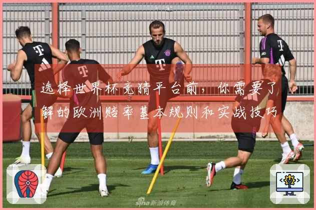 选择世界杯竞猜平台前，你需要了解的欧洲赔率基本规则和实战技巧