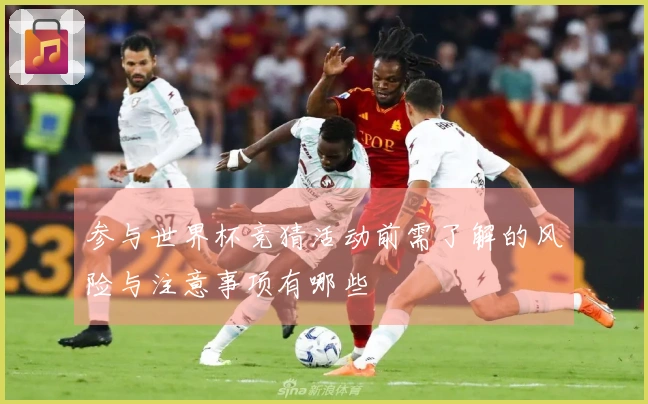 参与世界杯竞猜活动前需了解的风险与注意事项有哪些
