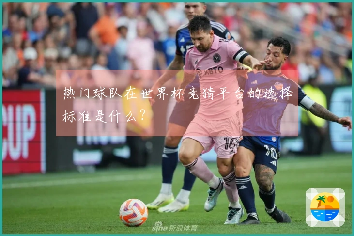 热门球队在世界杯竞猜平台的选择标准是什么？