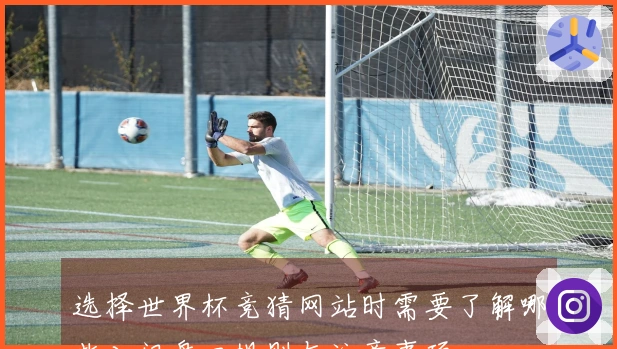 选择世界杯竞猜网站时需要了解哪些入门盘口规则与注意事项