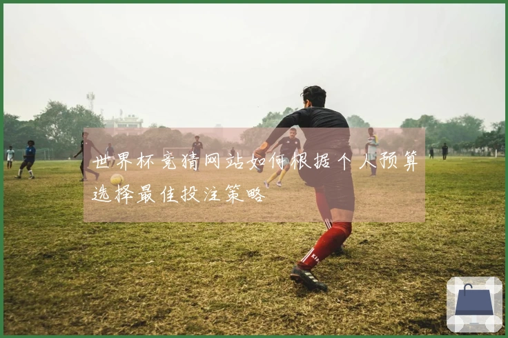 世界杯竞猜网站如何根据个人预算选择最佳投注策略