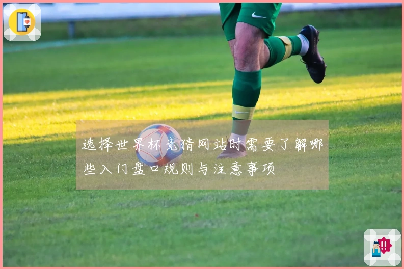 选择世界杯竞猜网站时需要了解哪些入门盘口规则与注意事项