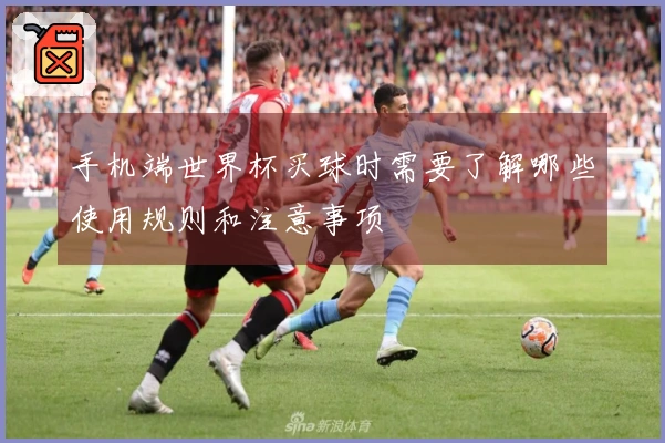 手机端世界杯买球时需要了解哪些使用规则和注意事项