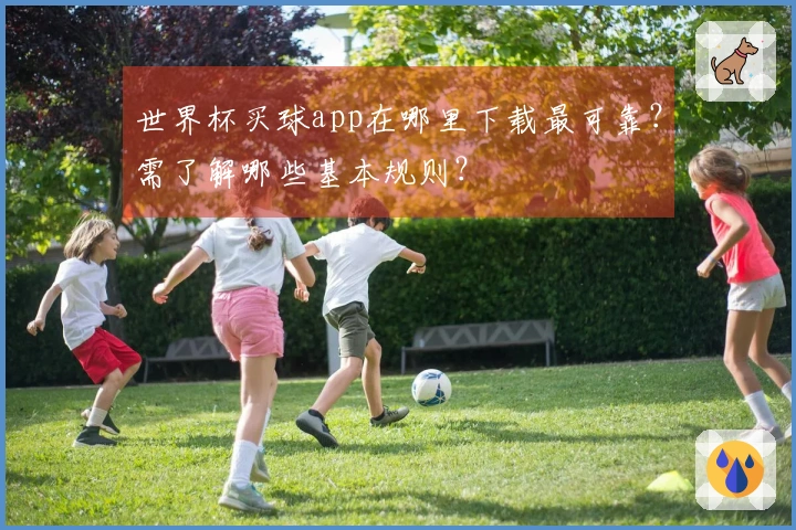 世界杯买球app在哪里下载最可靠？需了解哪些基本规则？