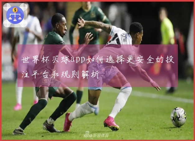 世界杯买球app如何选择更安全的投注平台和规则解析