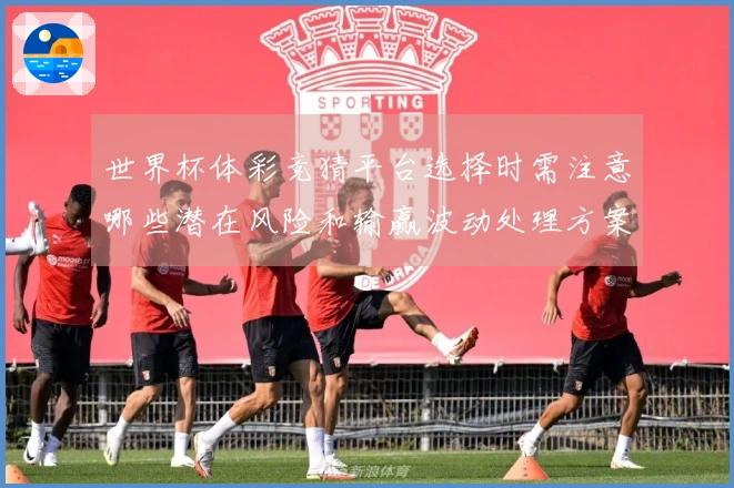 世界杯体彩竞猜平台选择时需注意哪些潜在风险和输赢波动处理方案