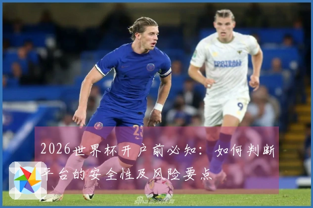 2026世界杯开户前必知:如何判断平台的安全性及风险要点