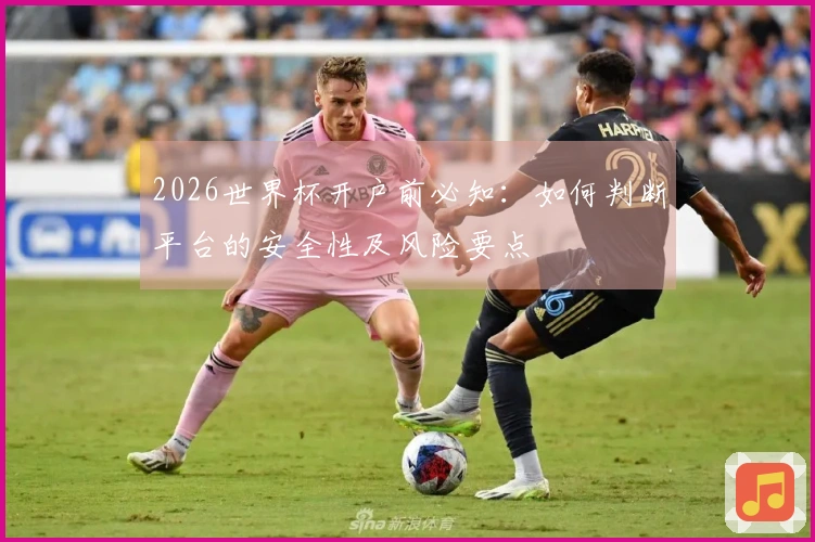 2026世界杯开户前必知：如何判断平台的安全性及风险要点