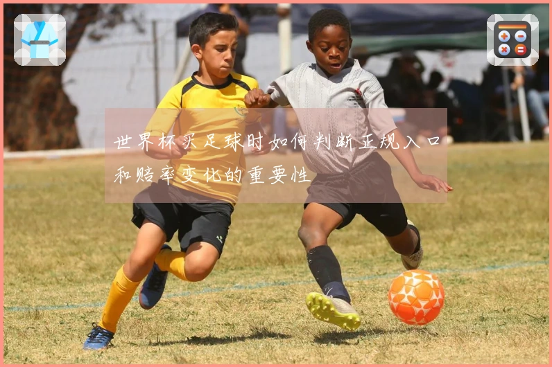 世界杯买足球时如何判断正规入口和赔率变化的重要性