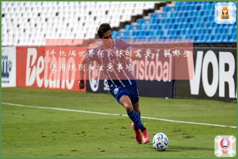 手机端世界杯买球时需要了解哪些使用规则和注意事项