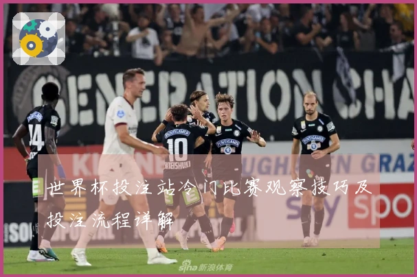 世界杯投注站冷门比赛观察技巧及投注流程详解