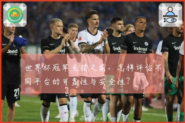 世界杯冠军竞猜之前，怎样评估不同平台的可靠性与安全性？
